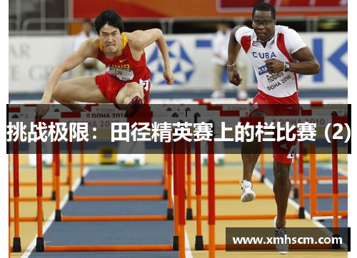 挑战极限：田径精英赛上的栏比赛 (2)