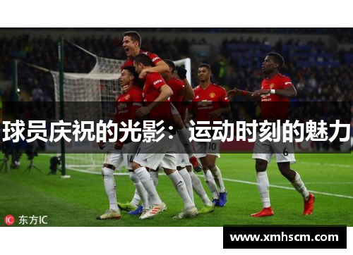 球员庆祝的光影：运动时刻的魅力